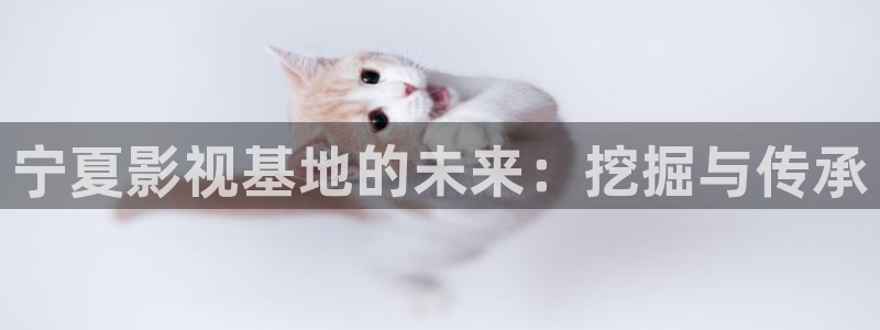 光棍影院丫丫11111：宁夏影视基地的未来：挖掘与传承