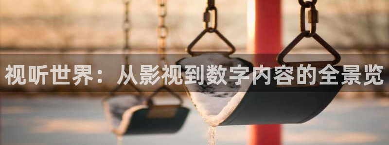 老光棍影院高清视频：视听世界：从影视到数字内容的全景览