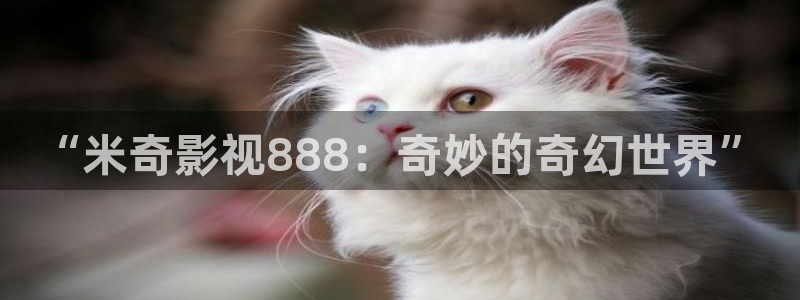 艳母光棍影院：“米奇影视888：奇妙的奇幻世界”